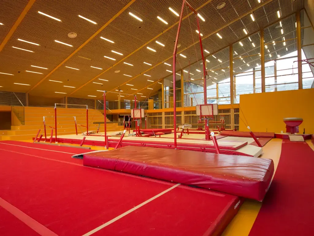Red Iron Steel Sports Facilities metal building - View details and pricing